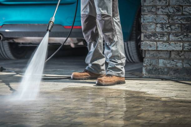 Best Graffiti Removal Services in Waverly, MN
