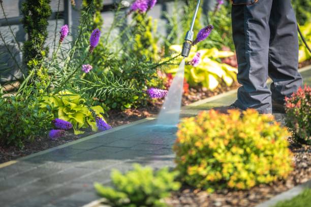  Waverly, MN Pressure Washing Pros