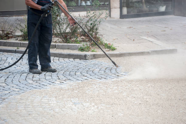 Best Window and Screen Pressure Cleaning in Waverly, MN