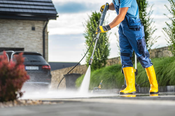 Best Driveway Cleaning and Restoration in Waverly, MN